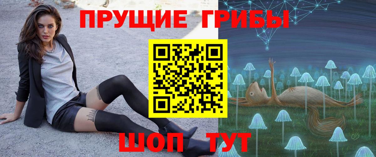 Псилоцибиновые грибы Cubensis  Вход с VPN  Кинешма 